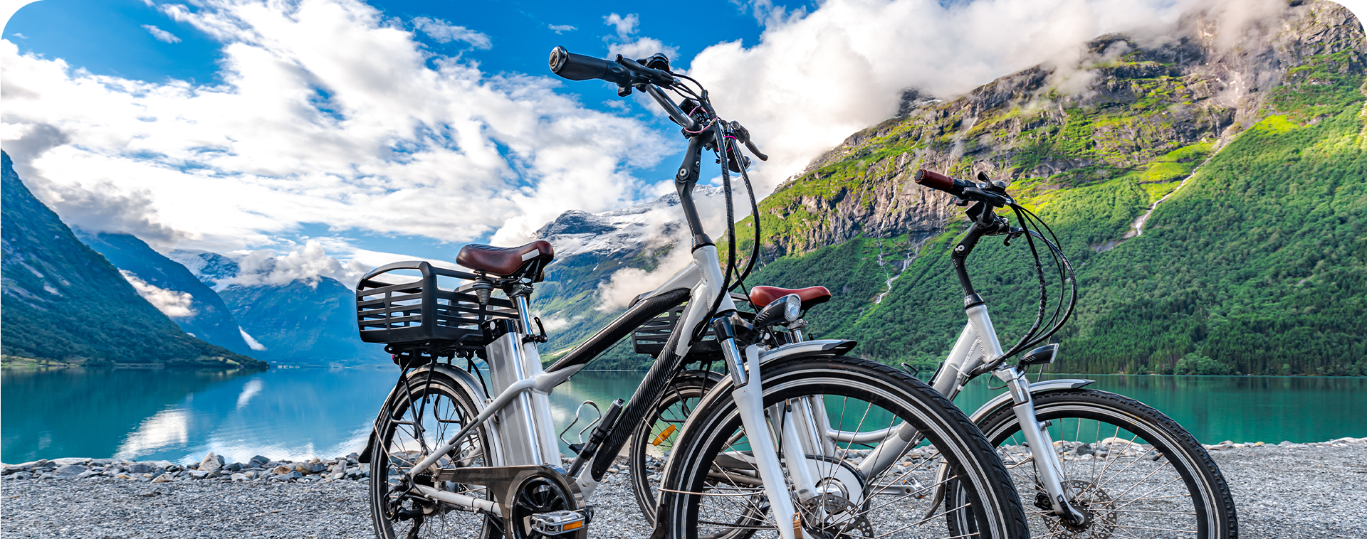 دوچرخه های برقی مشترک